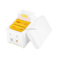 Mini ruche en mousse de polystyrène, kit de démarrage d'apiculture en plastique, boîte d'accouplement pour abeilles