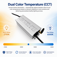 Alimentation LED IoT double CCT 100W 100-277V 30-62V 1.2-2.5A Haute Efficacité 89% IP67 pour éclairage 4G Cat.1 LoRa PLC RS485