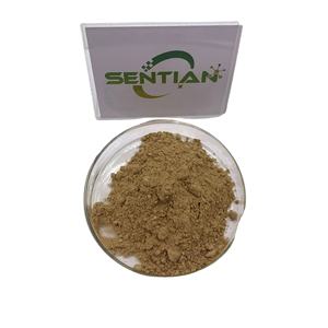 Extracto de planta Isodonis Japonicus extracto en polvo/extracto de selfheal - Product Image 1