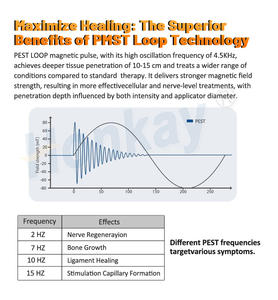 Dispositivo equino Pemf para terapia de tejido profundo Curación ósea Terapia fácil de operar para caballos - Product Image 6