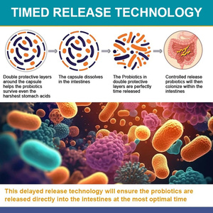 OEM 120 Billion CFU Probiotics Softgel Capsule 36 Cepas <span class=keywords><strong>Prebiotics</strong></span> Suplemento de Enzima Digestiva para Ultimate Gut Health Support - Product Image 6