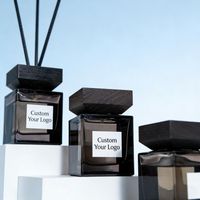 Diffuseur de parfum multi-senteurs en promotion, longue durée, 100/200 ml, service OEM, logo personnalisé, vente en gros pour la maison de luxe