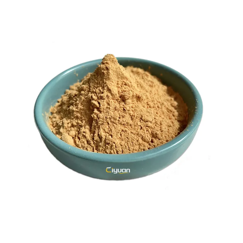 Ciyuan BIO Natural Corn Silk Extract Powder Großhandel Corn Silk Extract Powder