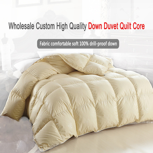 <span class=keywords><strong>Couette</strong></span> épaissie chaude en coton blanc avec plumes, couettes de lit, vente chaude d'hiver - Product Image 2
