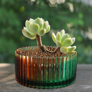 Handmade Thạch Cao Hình Thức Hương Thơm <span class=keywords><strong>Cup</strong></span> Khuôn Mông Cổ <span class=keywords><strong>Cup</strong></span> Thạch Cao Hình Thức Cho Nến <span class=keywords><strong>Cup</strong></span> Khuôn Silicon Khuôn Mẫu Cho Nhựa Nghệ Thuật - Product Image 3