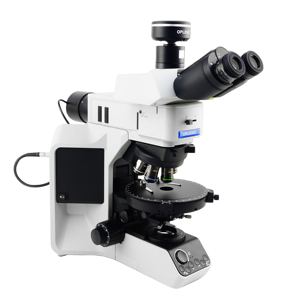 Material Biológico de Grado Industrial y de Nivel de Investigación para Laboratorio Médico y Enseñanza Científica - Product Image 3