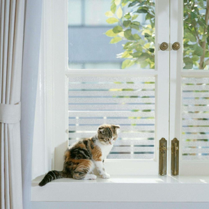 <span class=keywords><strong>Bande</strong></span> de film de fenêtre en PVC moderne sans colle Film statique en PVC Film de porte en verre dépoli - Product Image 3