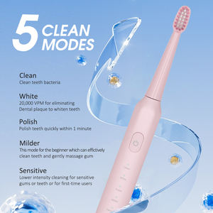 <span class=keywords><strong>2026</strong></span>年批发旅行用充电式电动牙刷带旅行盒2个刷头 - Product Image 6