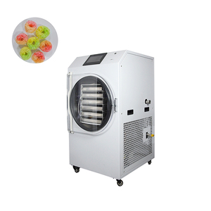 Máquina Popular de Liofilización de Alimentos Pequeños con PLC y Bomba de Vacío de Motor 110V/220V para Secado de Dulces, Vegetales, Frutas y Café - Product Image 2