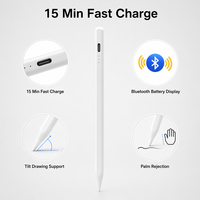 Pena Stylus iPad Aluminium Putih dengan Bluetooth Pengisian Cepat, Anti-Sentuh Telapak Tangan, Magnetik, Dapat Diisi Ulang, Aktif, Digital, OEM, Grosir