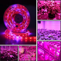 12V 5050 Lampu LED Spektrum Penuh untuk Tanaman 60LED/M Hemat Energi untuk Tanaman Dalam/Luar Ruangan, Sayuran, Bunga, Hidroponik