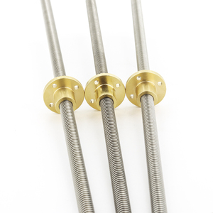 304 thép không gỉ T10 vít chiều dài 250mm chì 2 3 4 8 12 trục chính hình thang 1 cái với đai ốc bằng đồng - Product Image 3