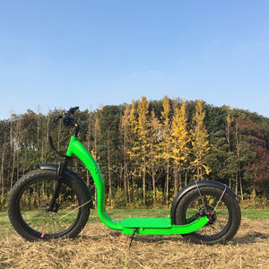 <span class=keywords><strong>2023</strong></span> precio sorpresa bicicleta eléctrica de patada 48V bicicleta de montaña eléctrica 750W 14ah neumático grueso playa crucero <span class=keywords><strong>e</strong></span> bicicleta scooter para adultos - Product Image 4