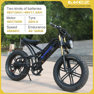 จักรยานไฟฟ้า AKEZ 20 นิ้ว ยางอ้วน 48V 750W สำหรับทุกสภาพพื้นผิว พร้อมแบตเตอรี่ถอดได้ FISH 48V750W17.5AH จักรยาน 20 นิ้ว รุ่น FISH HAW - Product Image 1