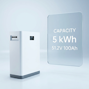 Batterie de stockage d'énergie domestique 5,12 kWh 51,2 V 100 Ah avec BMS pour la sauvegarde solaire résidentielle CAN RS485 - Product Image 1