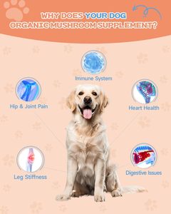 OEM/ODM مخصص شعار خاص حيوان أليف كولاجين سائل قطرة مكمل طبيعي للحيوانات الأليفة لصحة المفاصل والجلد والمعطف ودعم التنقل - Product Image 2