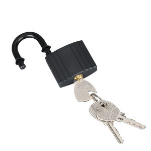 Pestillo de puerta de seguridad engrosado de hierro Candado de comercio exterior alargado para puertas Ventanas Heaven <span class=keywords><strong>Earth</strong></span> Pestillo con seguridad engrosada - Product Image 2