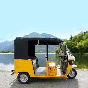 Factory Hot Selling Best-Selling Open Electric Passenger Tricycle (<strong>Tuk</strong> <strong>Tuk</strong>) Urban Sightseeing 3 Passengers 90km Range 30-50Km/h - Product Image 4