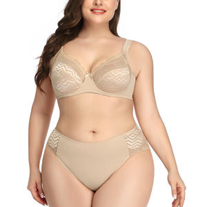 Artı boyutu kadın sütyen külot seti nefes şeffaf dantel nakış geri yakın tel sutyen seti - Product Image 3