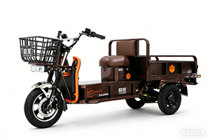 Triciclo Elettrico 1000W per Trasporto Merci, Ampio <span class=keywords><strong>Spazio</strong></span> di Carico, Batteria al Piombo-Acido 72V 50AH, Display LCD, Autonomia 110-130km - Product Image 4