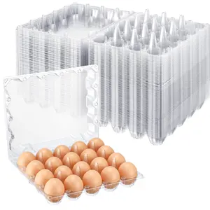 Supermarket Box Of 20 Eggs Trays Egg Plastic Tray Pet Egg Tray Supplier