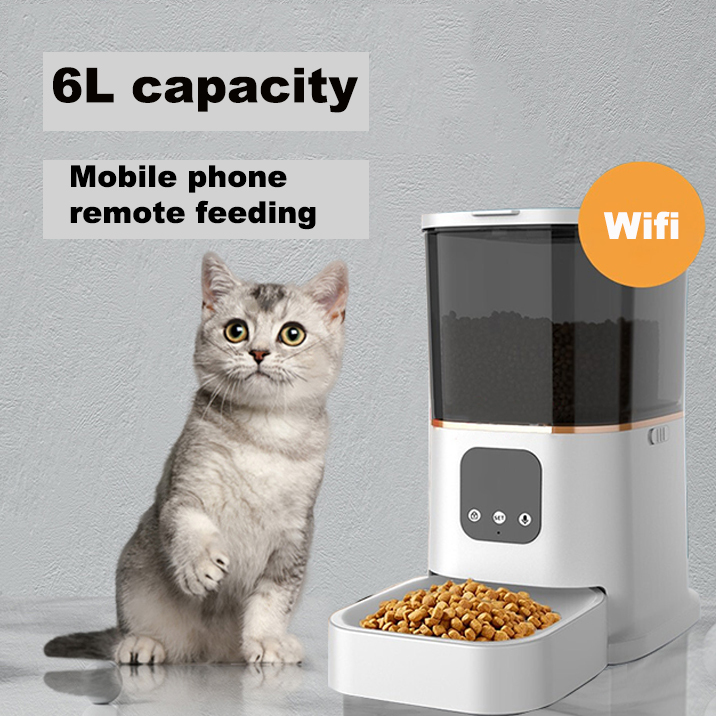 Version WiFi 6L