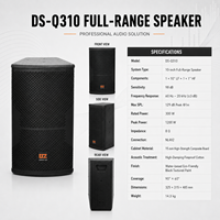 Haut-parleur passif professionnel DSZ DS-Q310 10 pouces pleine gamme 8 Ohm 96dB SNR robuste en bois peint pour clubs, discothèques, mariages et fêtes