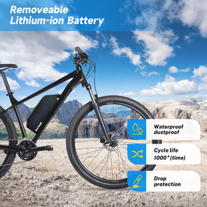 <span class=keywords><strong>Batterie</strong></span> Hailong Downtube Ebike 36V 48V 20.8Ah 28Ah Pack Lithium 18650 avec BMS 30A <span class=keywords><strong>pour</strong></span> Moteur 1000W - Product Image 5