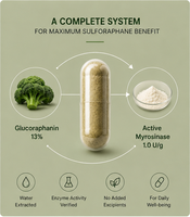 Sulforaphane stabilisé personnalisable en poudre 0,1% 0,2% 0,5% 1% |   Inducteur Nrf2 à haute bioactivité |   Réponse inflammatoire saine
