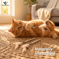 Bâtonnets de chat en plumes de vigne argentée, lot de 3, jouet naturel en bois avec alternative à la cataire et fruits de galle pour chats d'intérieur