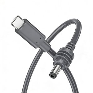 Cable de Alimentación D-Sunty Impermeable Starlink Mini USB-C a CC, 5m, 18AWG, Conductor de Cobre Sólido, Tipo-C, Cubierta de PVC Gris - Product Image 2
