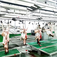 Ligne d'abattage de chèvres, machine d'abattage de moutons à haute efficacité, équipement d'abattage de moutons