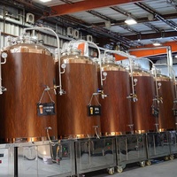 Kit de brassage de bière artisanale mini 100L pour usage domestique avec pot de brassage, réservoir de fermentation de bière industriel 500L, équipement principal de cuve sous pression