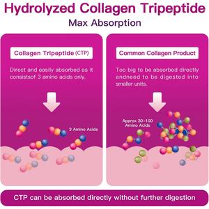 Poudre de peptides de collagène multiples favorisant un vieillissement sain et un teint éclatant – Complément de peptides de collagène multiples - Product Image 5
