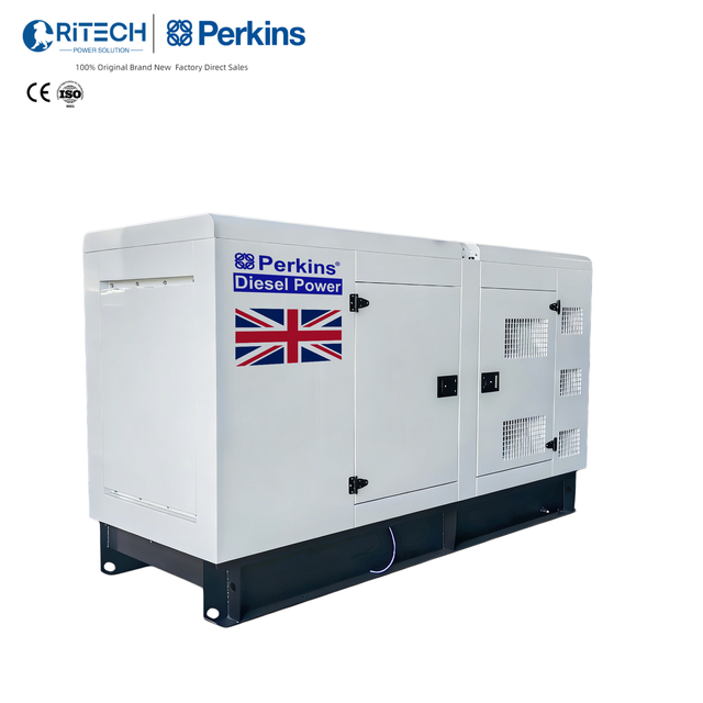 Ritech Custom Generators  Factory with Perkins Engine 200kVA Silent Diesel Generator 3 Phase Electric Power Generator with ATS