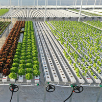 Chaînes NFT dans le système hydroponique vertical pour la culture de légumes