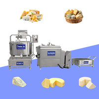 Pasteurisateur de lait, mélangeur, presse à fromage, cuve de fabrication automatique 500L, équipement de pressage de fromage