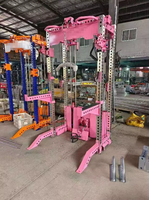 Rack de musculation intégré avec système de tirage vertical et de rameur, doté de deux blocs de poids sélectionnables