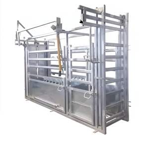 Fonction de pesage galvanisée plongée à chaud de <span class=keywords><strong>goulotte</strong></span> de compression de manipulation de bétail semi-automatique 3D résistante <span class=keywords><strong>Installation</strong></span> facile pour des yards - Product Image 3