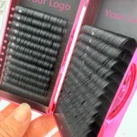 Extensions de cils en volume russe individuelles classiques en velours 0.03, noir mat foncé, en plateaux, avec logo personnalisé, vente en gros