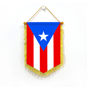 Mini Banderas de Coche de Puerto Rico de 20x30cm, Decoración de Pared, Accesorios de Exhibición, Pequeños Adornos para Colgar - Product Image 6