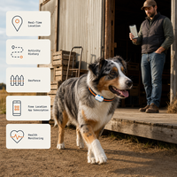Traceur GPS pour animaux de compagnie G67, suivi de localisation précis, historique des itinéraires, géolocalisation, application de suivi de localisation gratuite