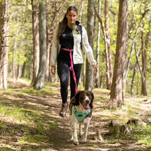 TD Cascades prugna Boysenberry guinzaglio cane estensibile per animali domestici attivi - Product Image 4