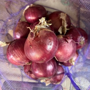 Cebollas Rojas Frescas de Gansu, Tamaño de 8 a 10 cm, Empacadas <span class=keywords><strong>en</strong></span> Bolsas de Malla de 25 kg, Suministro a Granel para Exportación a Mercados Mayoristas <span class=keywords><strong>en</strong></span> Ghana - Product Image 4