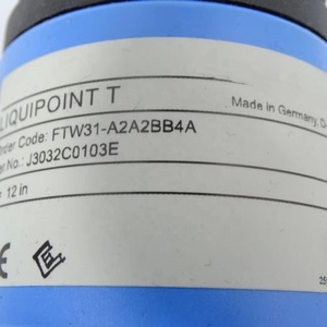 Nouveau capteur de niveau à point conducteur E+H FTW31 - Product Image 6