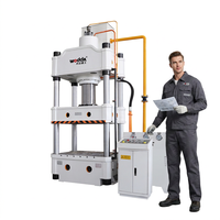 Presse hydraulique 315-500 tonnes pour couvercles de puits, réservoirs d'eau et éviers en matériaux composites