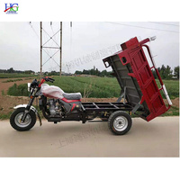 Tricycle Moto-Benne de Fret Agricole à Moteur Essence Refroidi par Eau, pour Terrain Montagneux