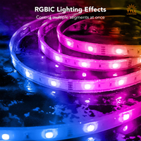 Bande lumineuse LED RVB personnalisée certifiée CB, application/télécommande, température de couleur 2700K-6000K, IRC 90, longueur 50m, efficacité 110lm/W