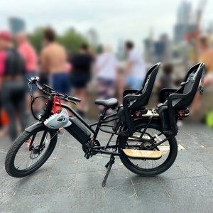 Vélo électrique à double batterie longue portée pour la livraison de nourriture avec moteur 48V 250W - Product Image 2