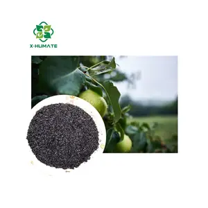 X-humate 65% ácido húmico uso agrícola humato de potasio granular fertilizante orgánico Humate de potasio gránulo brillante